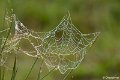 2017-05-25 Huis ter Heide